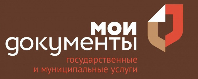 Информация МФЦ Воронежской. Информация МФЦ Воронежской.