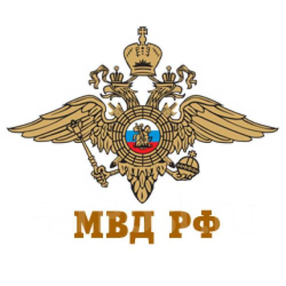 Обзорная информация МВД. Обзорная информация МВД.